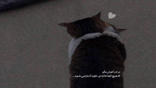  یالا یالا یالا همگی بگین ماشالا